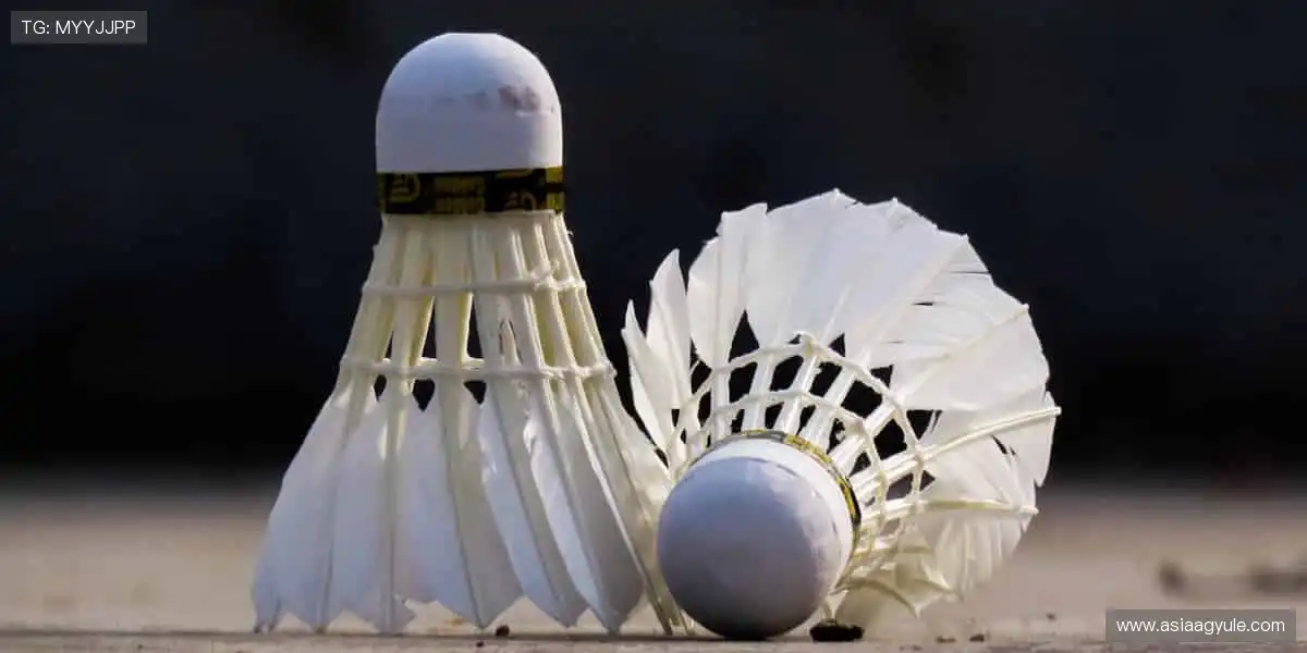 📰 体育新闻，权威速递！🏆 最新战报、深度解读，尽在掌握！